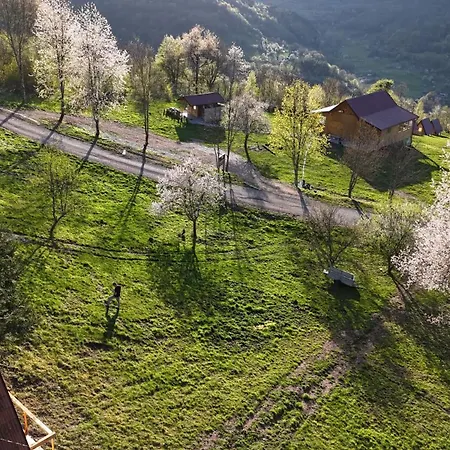 Mountain View 2 Apartment